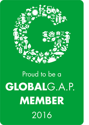 global_gap_member